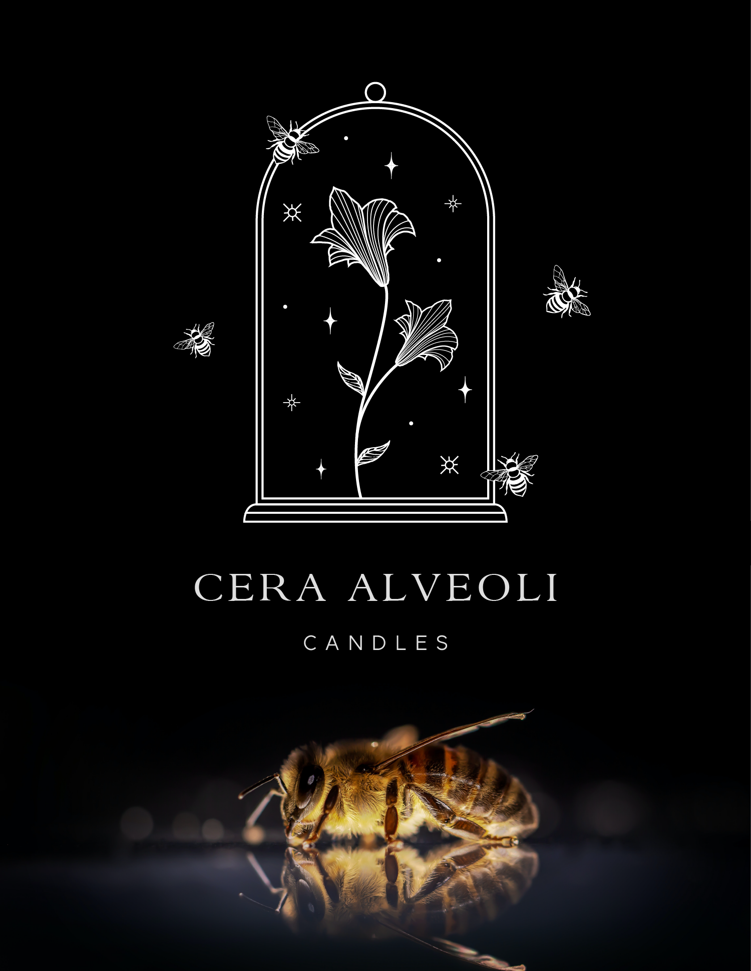 Cera Alveoli    •    Branding & Packaging